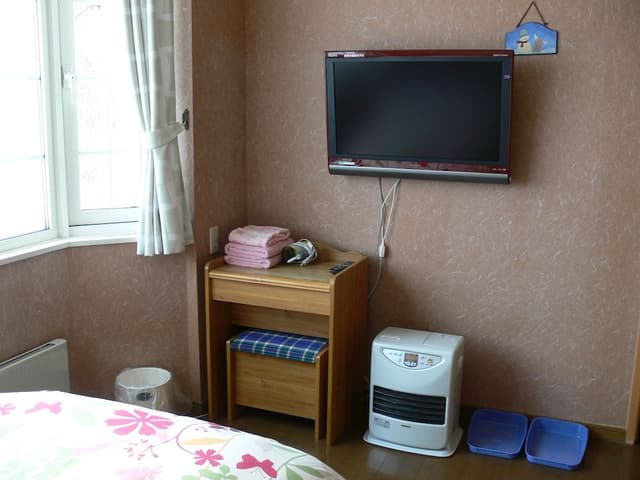 Western Style Twin Room