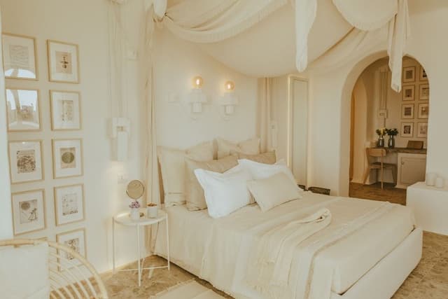 Luxury Suite