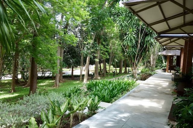 Standard Twin Room, 1 Bedroom, Garden View