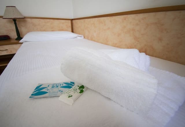 Single Room, 1 Twin Bed