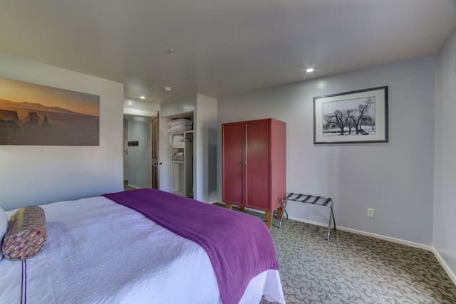 Studio Suite