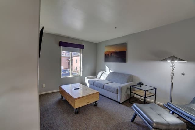 Standard Suite, 1 King Bed with Sofa bed