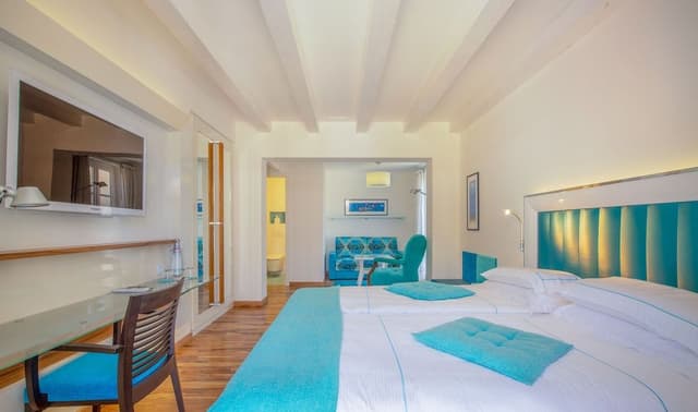 Superior Double or Twin Room