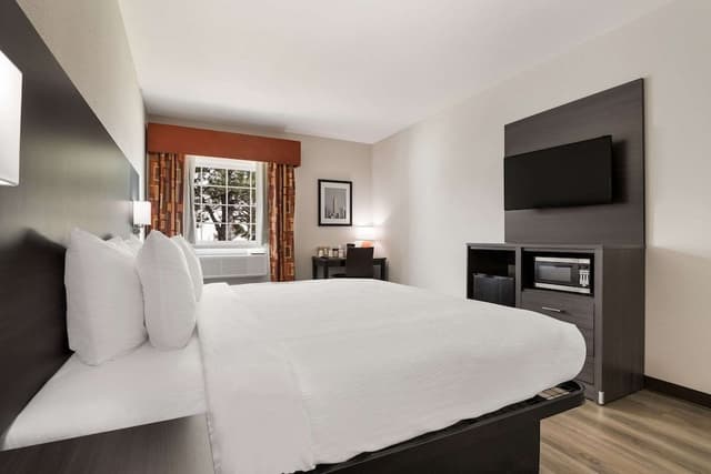 Room, 1 King Bed, Accessible, Non Smoking