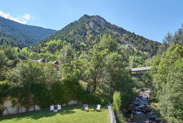 Suite with View