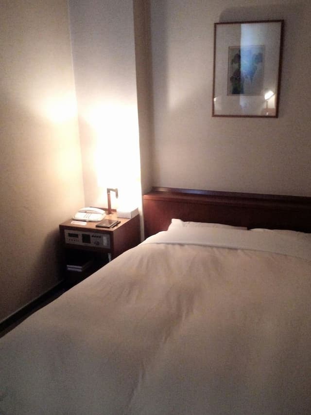 Double Room for 1 Guest, Smoking