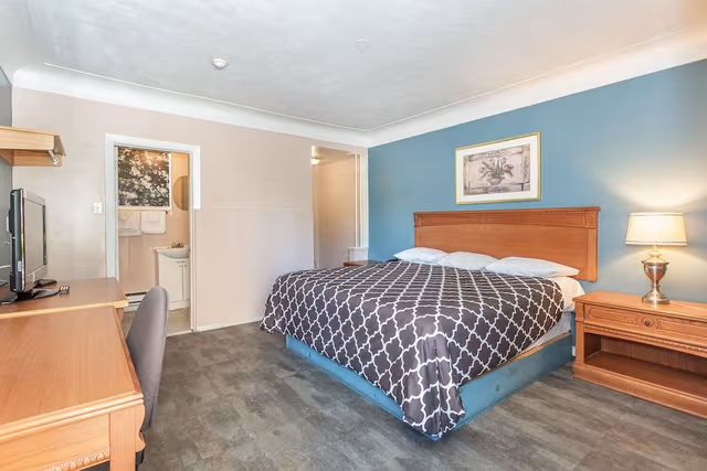 Room, 1 King Bed, Non Smoking
