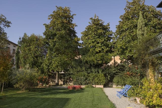 Superior Double Room, Terrace