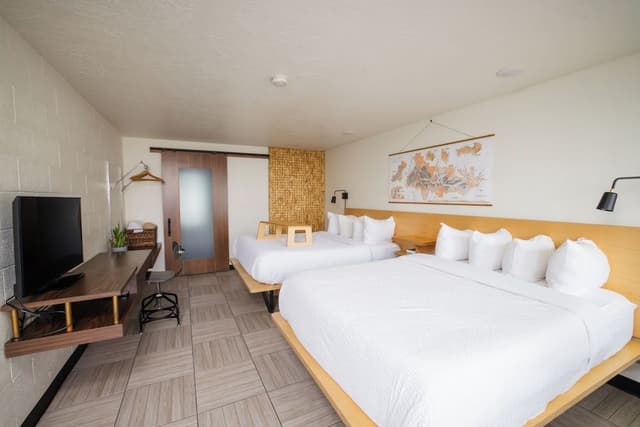Standard Room, 2 Queen Beds (Dog Friendly)
