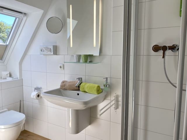 Basic Suite
