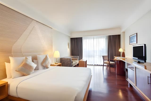 Superior Suite with 1 Queen Size bed