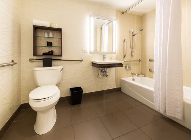 Room, 1 King Bed, Accessible Bathtub