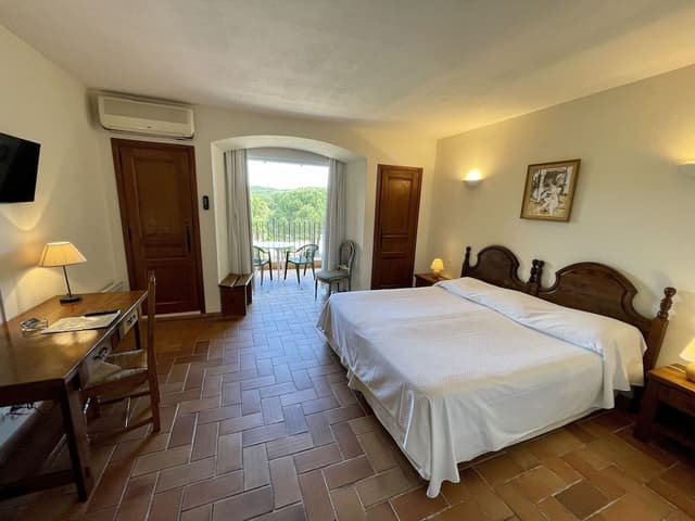 Double or Twin Room