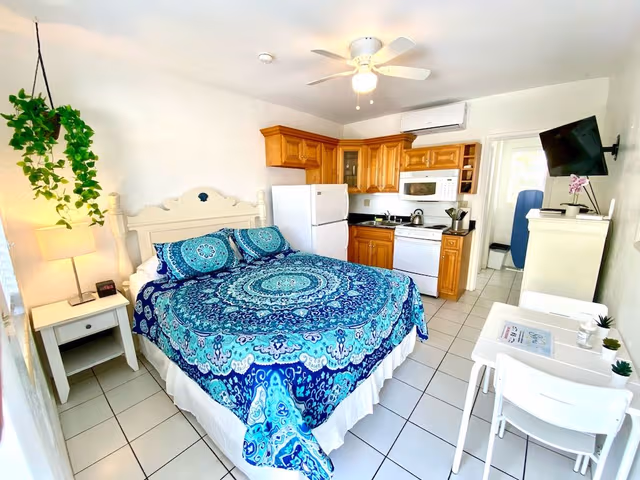 Studio, 1 Queen Bed