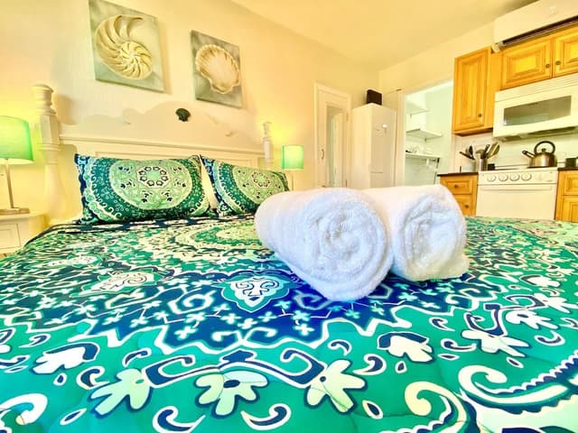 Studio, 1 Queen Bed