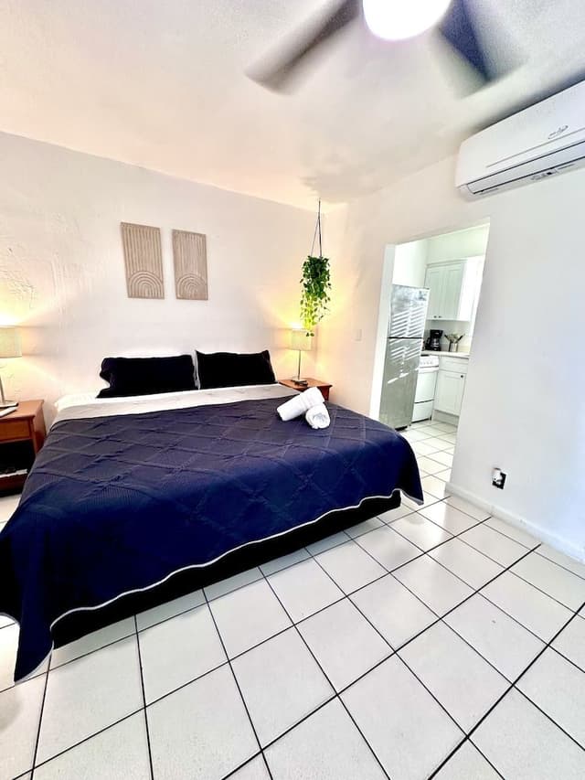 Deluxe Studio, 1 King Bed with Sofa bed