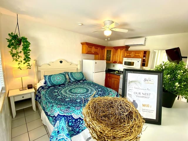 Studio, 1 Queen Bed