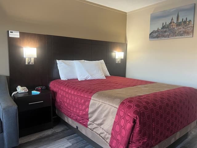 Standard Single Room, 1 Queen Bed, Non Smoking
