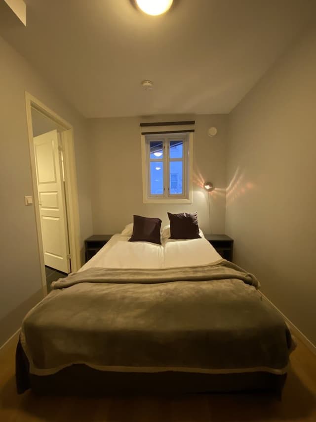 Economy Apartment, 1 Queen Bed with Sofa bed, Refrigerator & Microwave