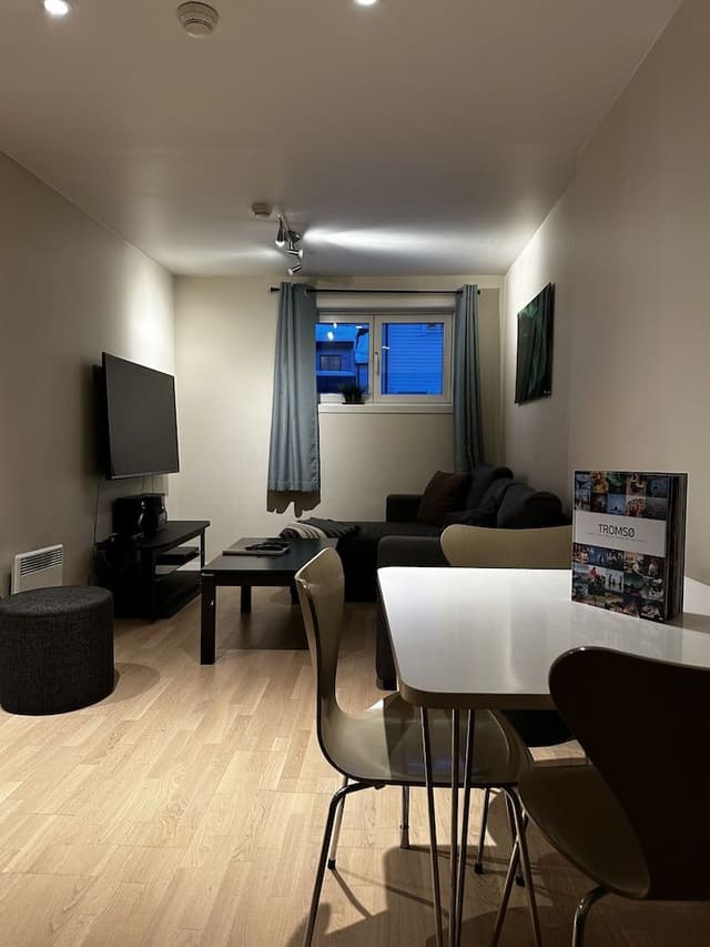Economy Apartment, 1 Queen Bed with Sofa bed, Refrigerator & Microwave