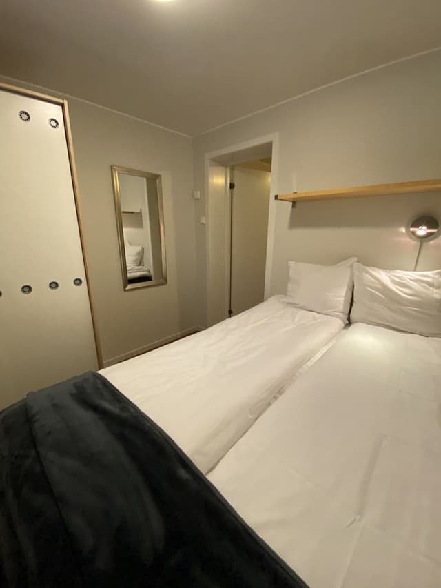 Economy Apartment, 1 Queen Bed with Sofa bed, Refrigerator & Microwave
