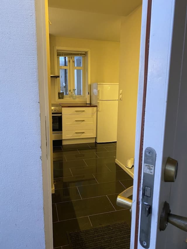 Economy Apartment, 1 Queen Bed with Sofa bed, Refrigerator & Microwave