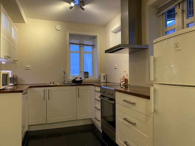 Economy Apartment, 1 Queen Bed with Sofa bed, Refrigerator & Microwave