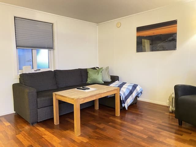Economy Apartment, 1 Queen Bed with Sofa bed, Refrigerator & Microwave
