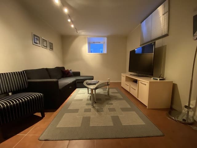 Economy Apartment, 1 Queen Bed with Sofa bed, Refrigerator & Microwave