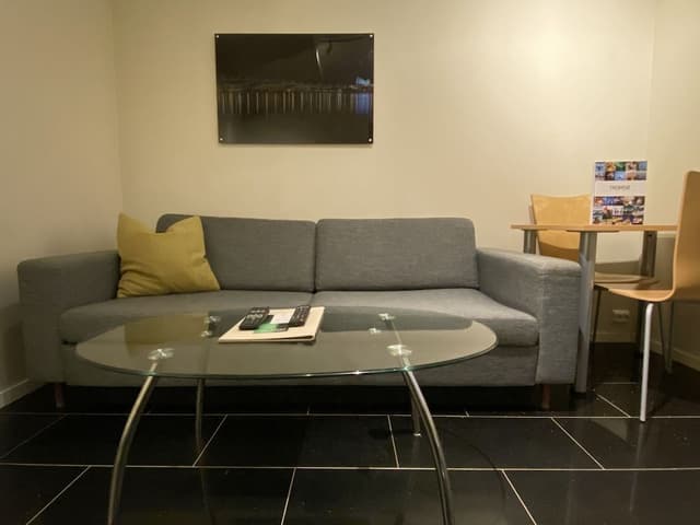 Economy Apartment, 1 Queen Bed with Sofa bed, Refrigerator & Microwave
