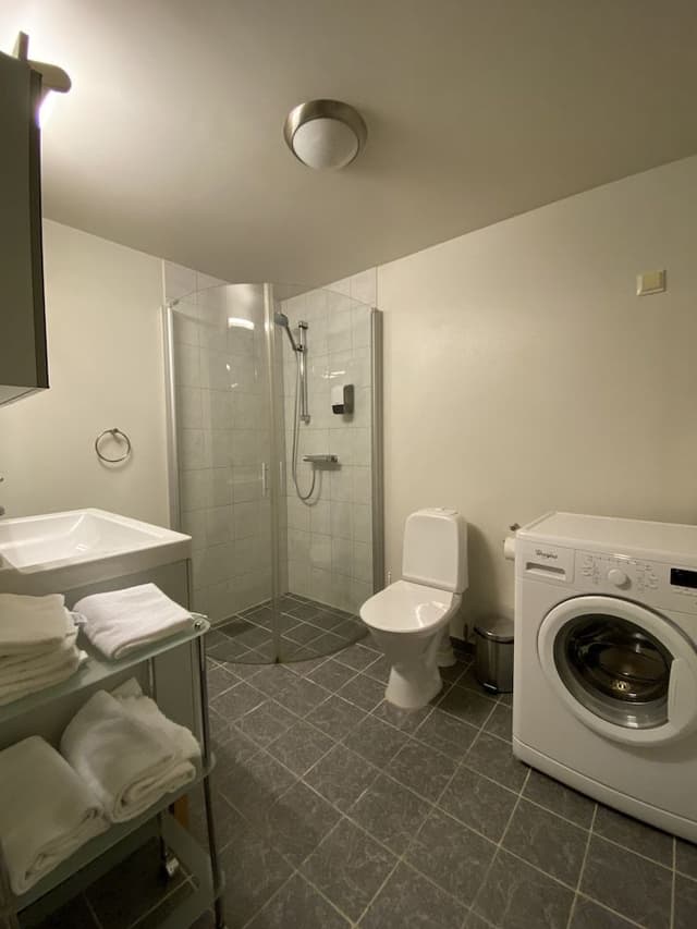 Economy Apartment, 1 Queen Bed with Sofa bed, Refrigerator & Microwave