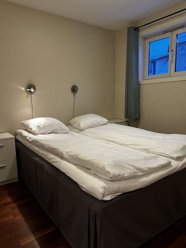 Economy Apartment, 1 Queen Bed with Sofa bed, Refrigerator & Microwave