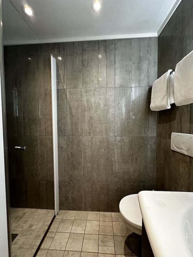 Economy Apartment, 1 Queen Bed with Sofa bed, Refrigerator & Microwave