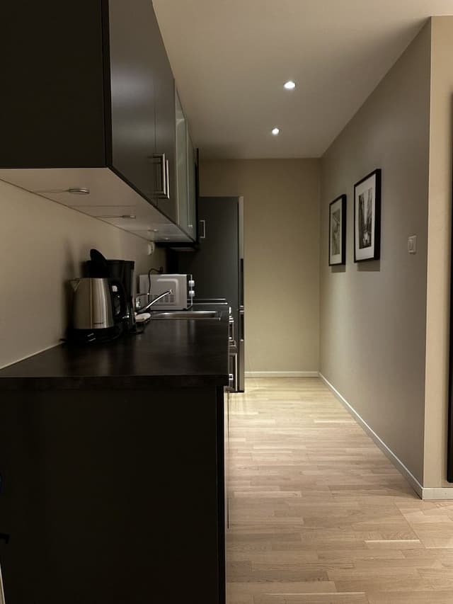 Economy Apartment, 1 Queen Bed with Sofa bed, Refrigerator & Microwave