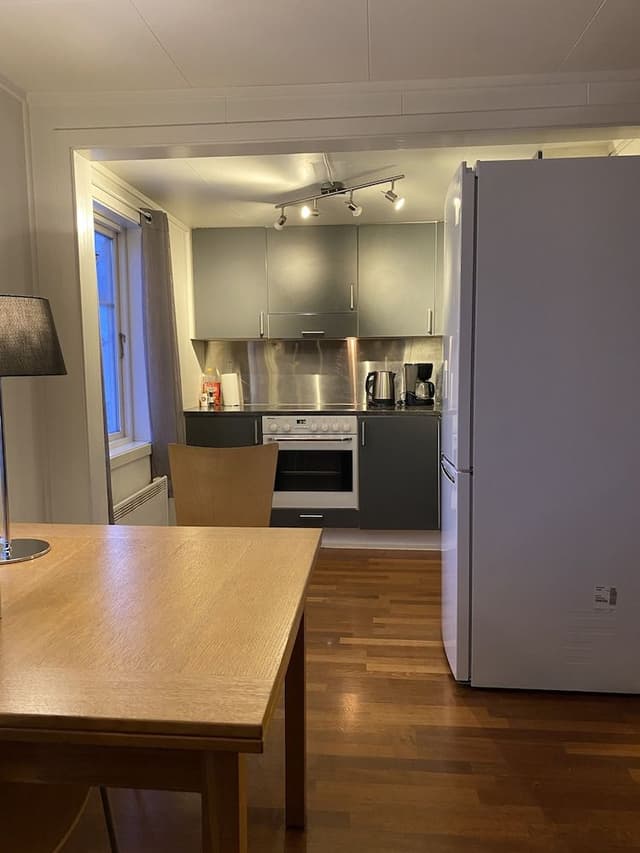 Economy Apartment, 1 Queen Bed with Sofa bed, Refrigerator & Microwave