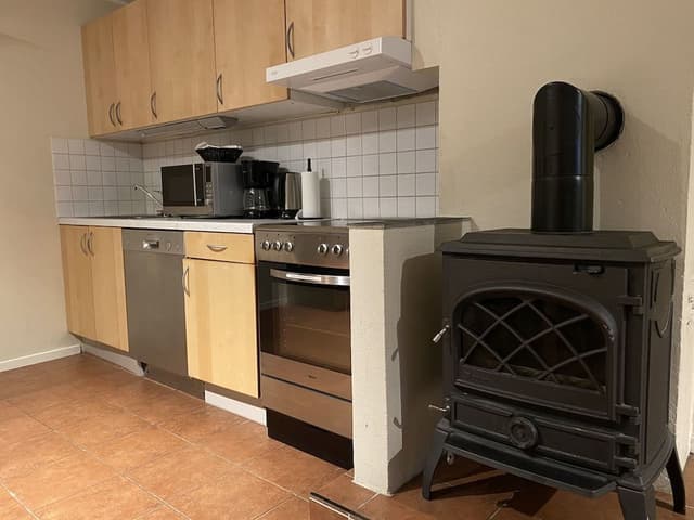 Economy Apartment, 1 Queen Bed with Sofa bed, Refrigerator & Microwave