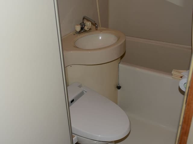 Japanese Style Room with Private Bathroom (15-20 sqm)