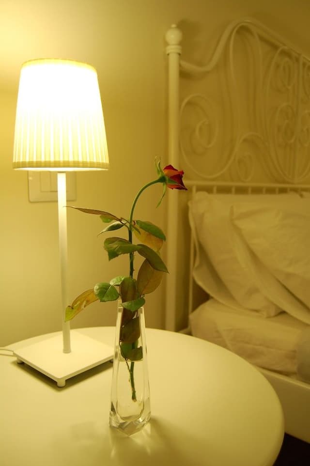 Deluxe Double Room (private external bathroom)