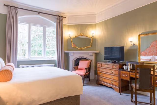 Deluxe Double or Twin Room (Single Use)