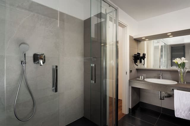 Deluxe Double or Twin Room (City View)