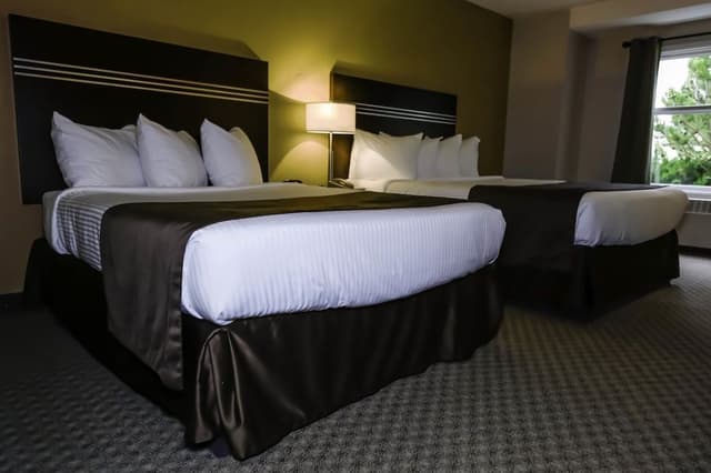 Standard Room, 2 Double Beds