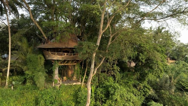 Tree House - One Bedroom Valley View