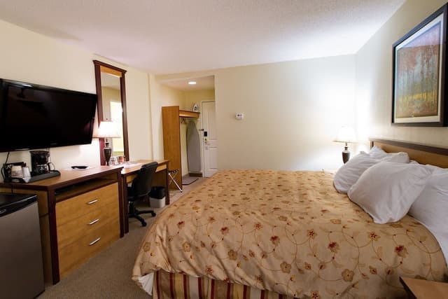Room, 1 King Bed