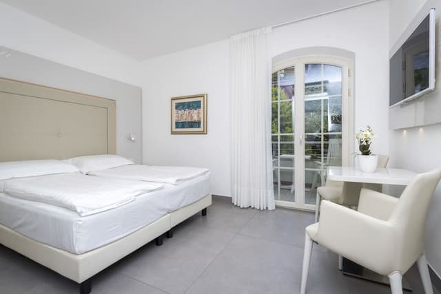 Double or Twin Room, Mountain View