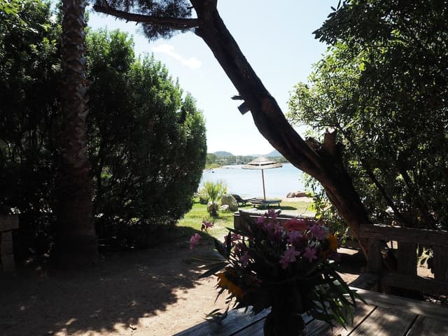 Villa, 2 Bedrooms, Beach View, Oceanfront