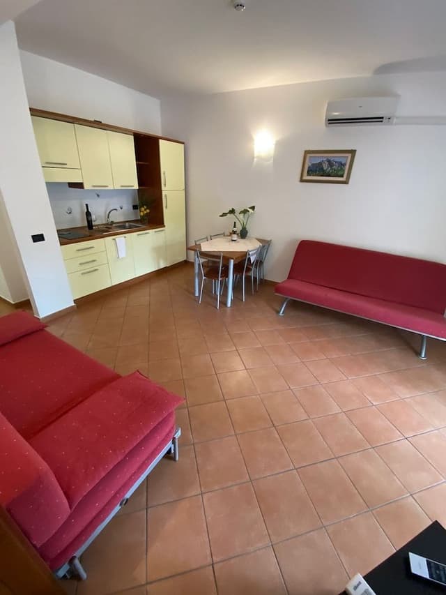 Basic Apartment, 1 Bedroom, Terrace
