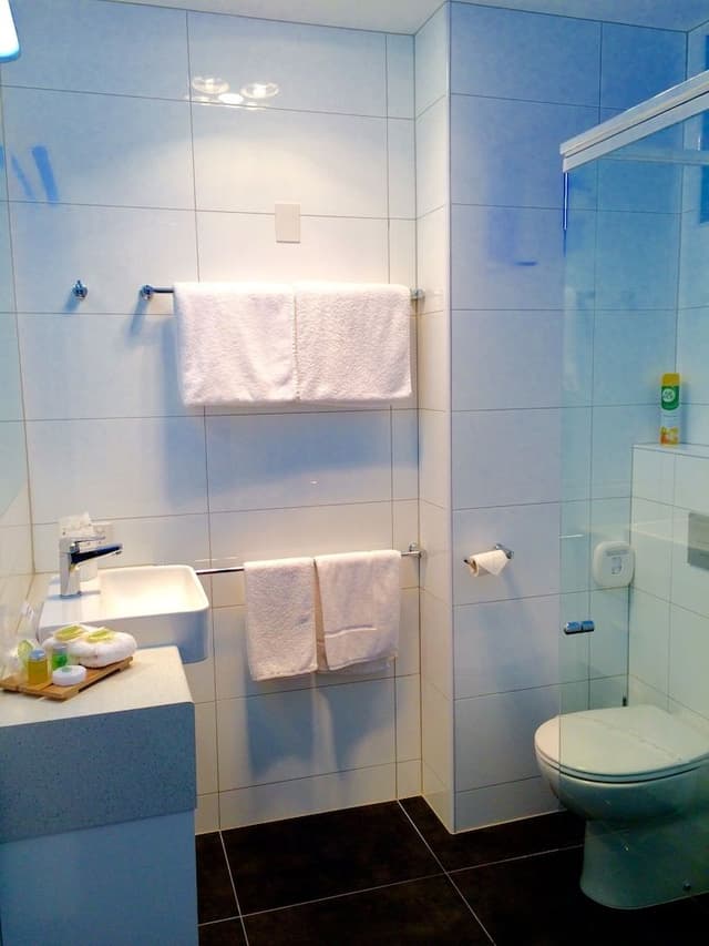 Premium Suite With Park View