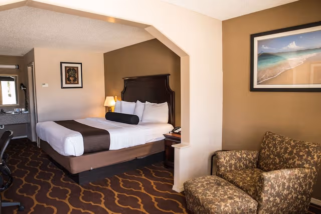 Standard Room, 1 King Bed, Non Smoking