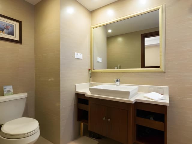 Superior Single Room