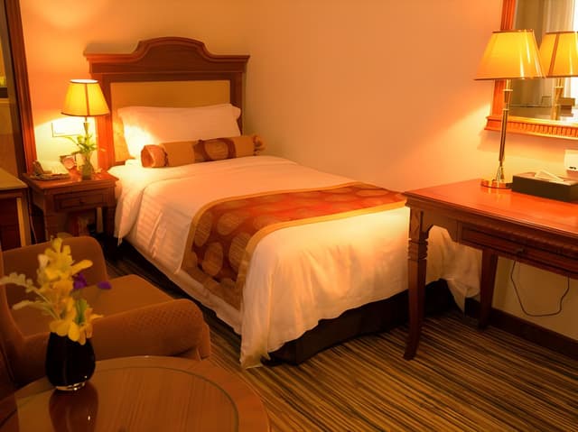 Superior Single Room